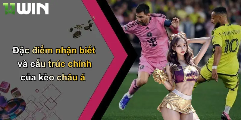 Đặc điểm nhận biết và cấu trúc chính của kèo châu á